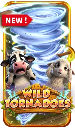 Wild Tornadoes