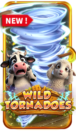 Wild Tornadoes